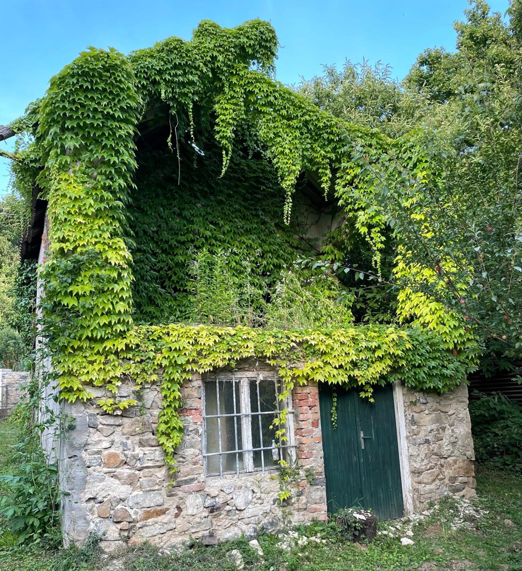 Stupa-Rezi-Tatika-Haz Apartamento Zalaszanto Exterior foto